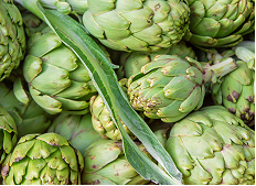 Экстракт артишока