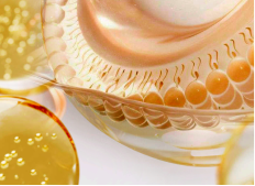 Липосомальная доставка