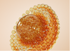 Липосомальные технологии