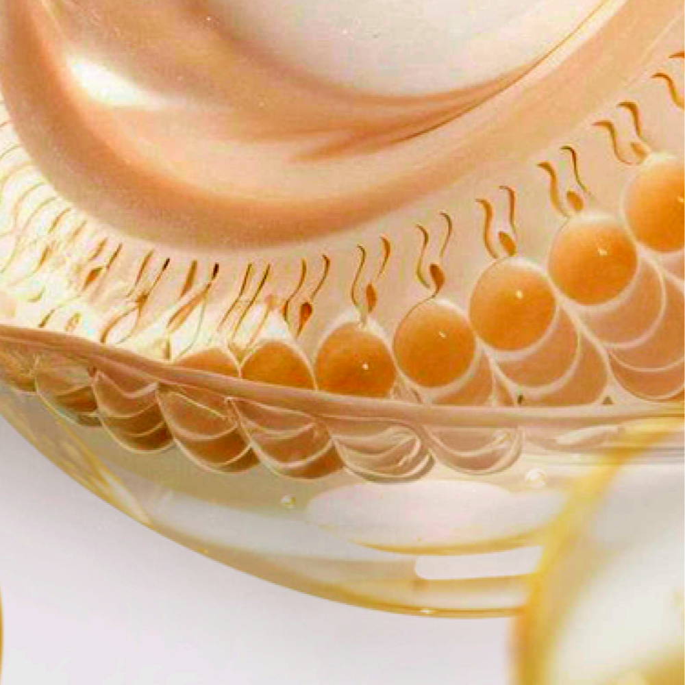 Гидроксипинаколона ретиноат (HPR)